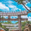 메트로센터관광안내소 이미지