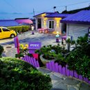 퍼플스테이 이미지