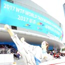 선행태권도 이미지