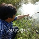 신곡배수펌프장 이미지