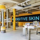 프리메라 이미지