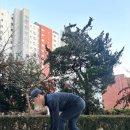 인피니티디자인 | 트렌디한 디자인에 통기성 좋은 인피니티 러닝 볼캡 후기