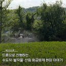 드론으로 진행하는 수도작·밭작물·산림 항공방제 현장 이야기