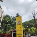 매화마을길(벌말로50번길) 이미지