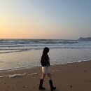빵빵오락실 | 2번째 태안 여행 기록 1탄(내맘대로 코스)