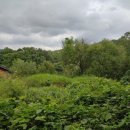 고동영공인중개사사무소 이미지