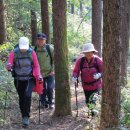 아라리모텔 이미지