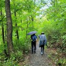 와룡암쉼터 화장실 | 진안고원길 9,10구간 운일암반일암-주천면사무소-용담면사무소 여행기록
