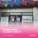 지금행복약국 네이버블로그