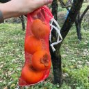 봉좌농장 이미지