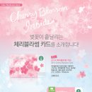 마이체리블라썸