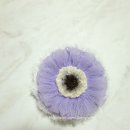 더(The) 이미지