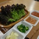 둔내왕족발 이미지