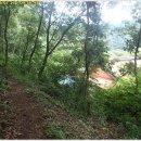 천반산민박 Daum카페
