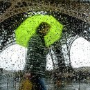 Christophe Jacrot - 빗속의 파리 이미지