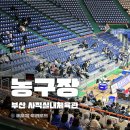 실내체육관뒤~아리랑고개 | 부산 사직실내체육관 농구 직관 시야 주차장 1층 익사이팅석 6구역 KCC이지스 경기장