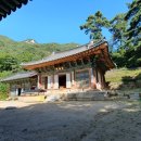 화담당 경화탑 이미지