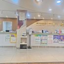 33주 임산부 일상 임신 후기 기록 평화동 세나여성의원 전원