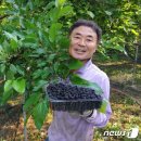 수정농장2 이미지