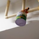 웹툰북 만들기 이미지