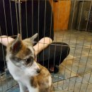 하얀장여관 이미지