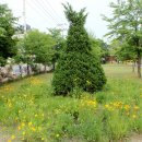 양서체육공원 이미지