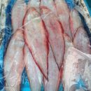 인이수산 이미지