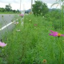 달리는공인중개사사무소 이미지