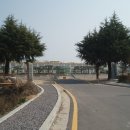 금천초교 이미지