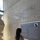 본태박물관 | 제주 본태 미술관 박물관 쿠사마야요이 무한거울방 후기
