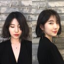 살롱드 하유