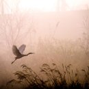 주식회사 시온 이미지