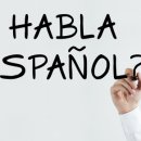 기초 스페인어 이미지