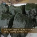 매생이