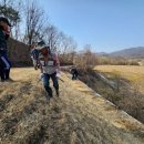 23. 4.1 동막리선영 조경 식재 작업 이미지