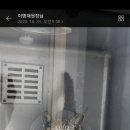 바우동물병원 이미지