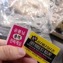 공룡발 - 강남구 강남대로 396 | 이번에는 더 엄청나다! 공룡덕후박람회 다녀온 후기