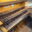 명랑한찜닭 하남미사점 | 나름대로 아름답게