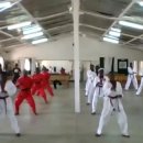 월드미션태권도 이미지