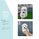 파주켄넬 이미지