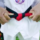 캐슬어울림태권도사관학교 이미지