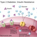 &#34;24시 약사 당뇨관리&#34; 수진코헨 약사 - 요약정리본 이미지