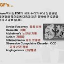 팜 라이프 이미지