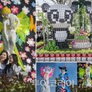 방방코리아 이미지