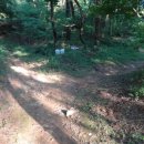 김재로묘 이미지