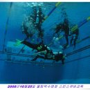 올림픽수영장 이미지