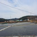 11월23일 일요일11시 서해랑길89코스 대부도해솔길 바다향기 수목원 (생명벙주님) 이미지