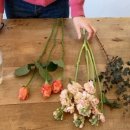 은평-040 이미지