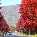 산청중산관광지 이미지