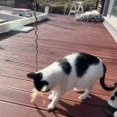 양양별장 이미지